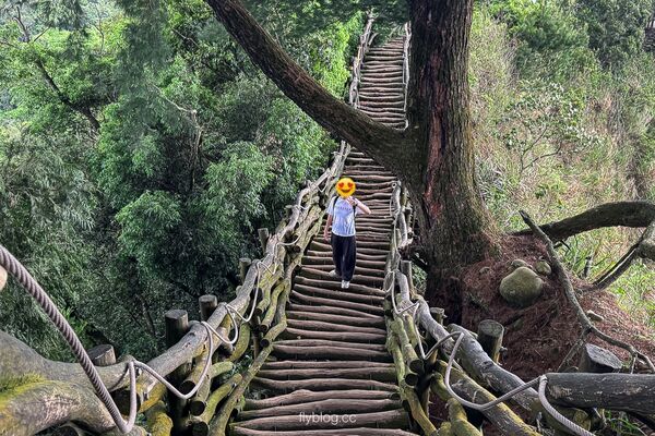 ▲▼大坑2號登山步道。（圖／部落客飛天璇的口袋授權提供）