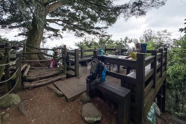▲▼大坑2號登山步道。（圖／部落客飛天璇的口袋授權提供）