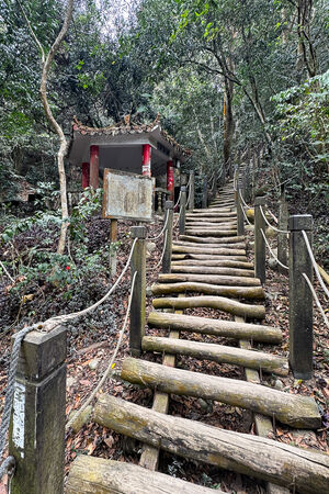 ▲▼大坑2號登山步道。（圖／部落客飛天璇的口袋授權提供）
