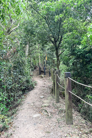 ▲▼大坑2號登山步道。（圖／部落客飛天璇的口袋授權提供）