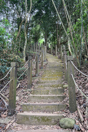 ▲▼大坑2號登山步道。（圖／部落客飛天璇的口袋授權提供）