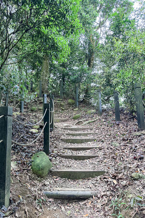 ▲▼大坑2號登山步道。（圖／部落客飛天璇的口袋授權提供）