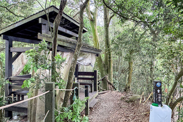 ▲▼大坑2號登山步道。（圖／部落客飛天璇的口袋授權提供）