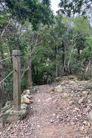 ▲▼大坑2號登山步道。（圖／部落客飛天璇的口袋授權提供）