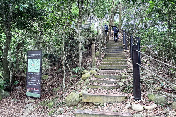 ▲▼大坑2號登山步道。（圖／部落客飛天璇的口袋授權提供）
