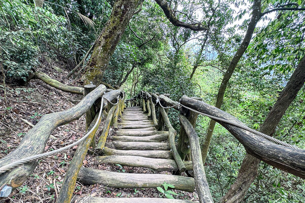 ▲▼大坑2號登山步道。（圖／部落客飛天璇的口袋授權提供）
