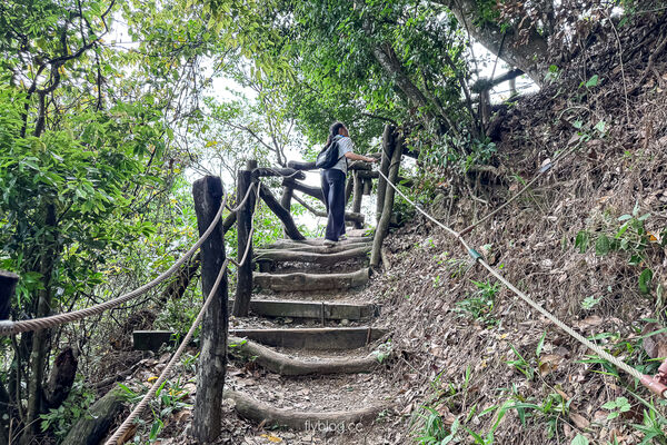 ▲▼大坑2號登山步道。（圖／部落客飛天璇的口袋授權提供）
