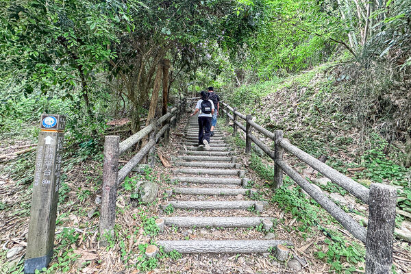 ▲▼大坑2號登山步道。（圖／部落客飛天璇的口袋授權提供）