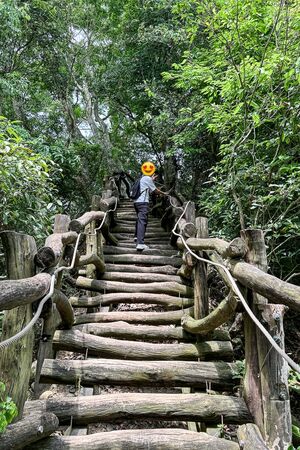 ▲▼大坑2號登山步道。（圖／部落客飛天璇的口袋授權提供）