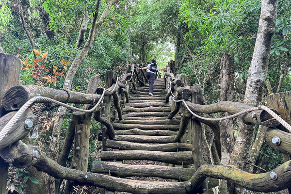 ▲▼大坑2號登山步道。（圖／部落客飛天璇的口袋授權提供）