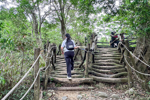 ▲▼大坑2號登山步道。（圖／部落客飛天璇的口袋授權提供）