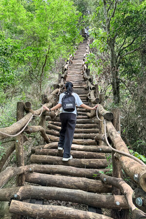 ▲▼大坑2號登山步道。（圖／部落客飛天璇的口袋授權提供）