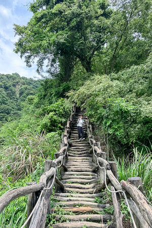 ▲▼大坑2號登山步道。（圖／部落客飛天璇的口袋授權提供）