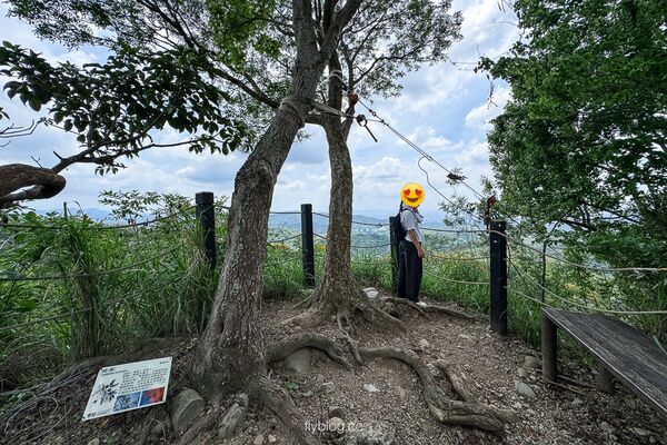 ▲▼大坑2號登山步道。（圖／部落客飛天璇的口袋授權提供）