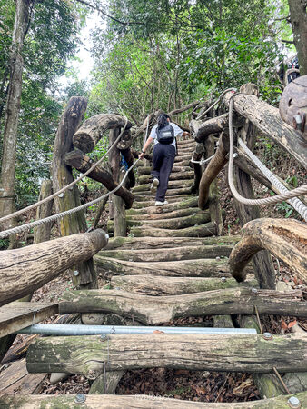 ▲▼大坑2號登山步道。（圖／部落客飛天璇的口袋授權提供）