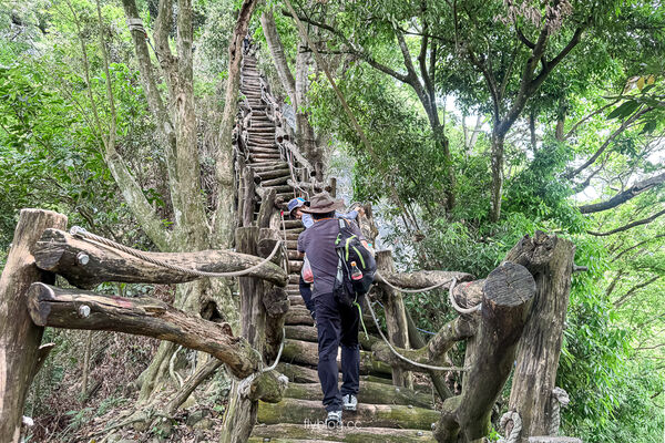 ▲▼大坑2號登山步道。（圖／部落客飛天璇的口袋授權提供）