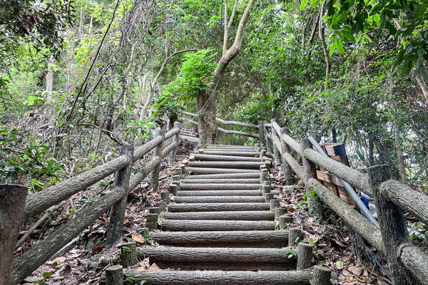 ▲▼大坑2號登山步道。（圖／部落客飛天璇的口袋授權提供）