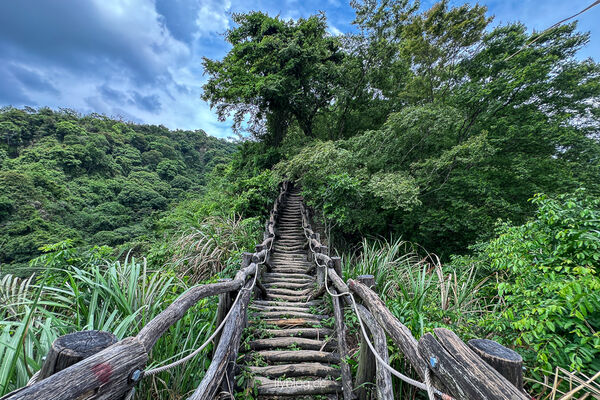 ▲▼大坑2號登山步道。（圖／部落客飛天璇的口袋授權提供）