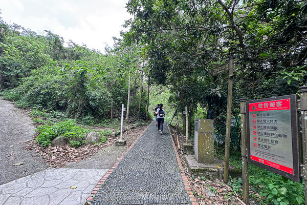 ▲▼大坑2號登山步道。（圖／部落客飛天璇的口袋授權提供）