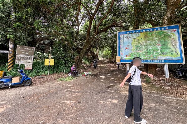 ▲▼大坑2號登山步道。（圖／部落客飛天璇的口袋授權提供）