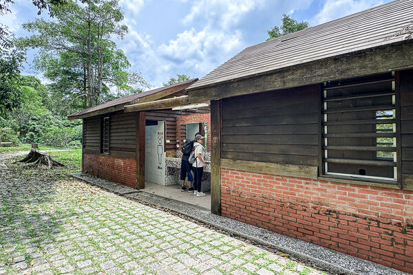 ▲▼大坑2號登山步道。（圖／部落客飛天璇的口袋授權提供）