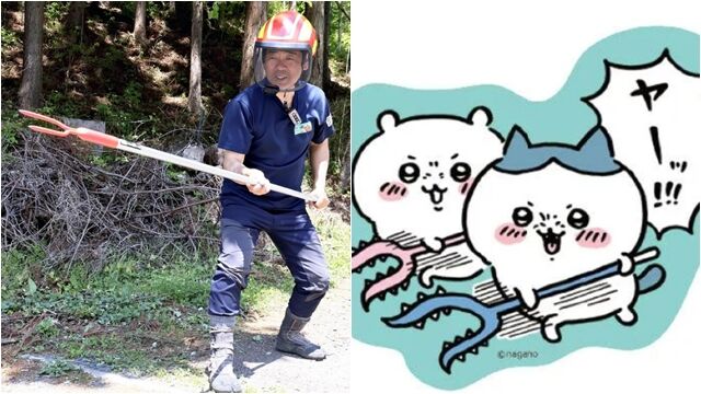 真實版吉伊卡哇「討伐棒」!日大叔遭熊襲生還 自製驅熊神器爆紅