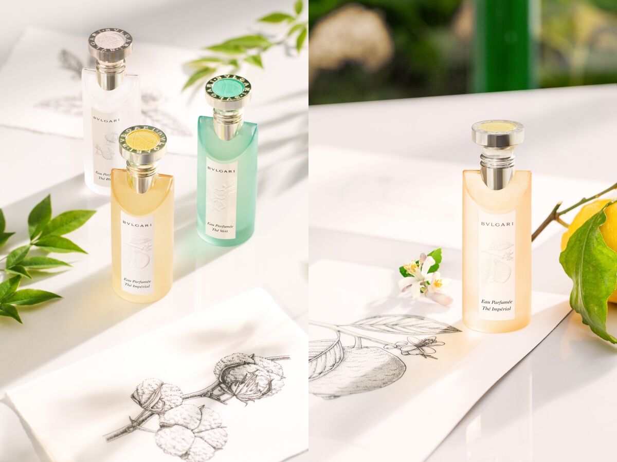 ▲Molton Brown,寶格麗,SINN PURET&Eacute;,心樸優,茶香,香水,香氛,。（圖／品牌提供）