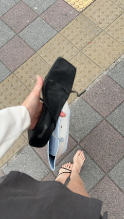 ▲▼派翠克。（圖／網友nianleelee提供，請勿隨意翻拍，以免侵權。）