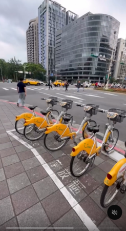 ▲▼派翠克。（圖／網友nianleelee提供，請勿隨意翻拍，以免侵權。）