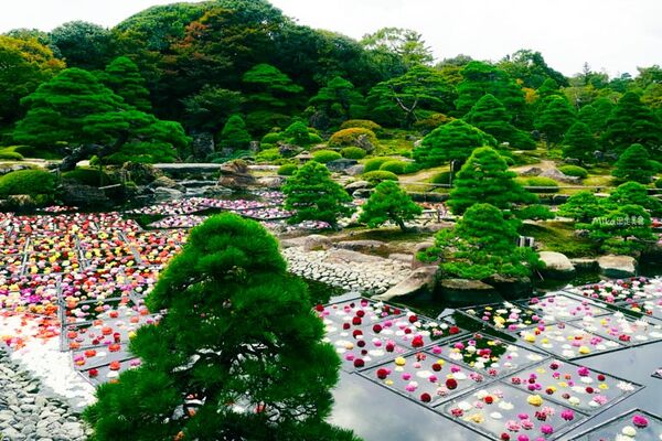 ▲▼由志園。（圖／部落客Mika授權提供）