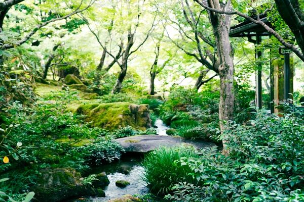 ▲▼由志園。（圖／部落客Mika授權提供）