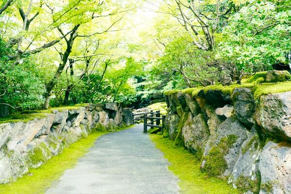 ▲▼由志園。（圖／部落客Mika授權提供）