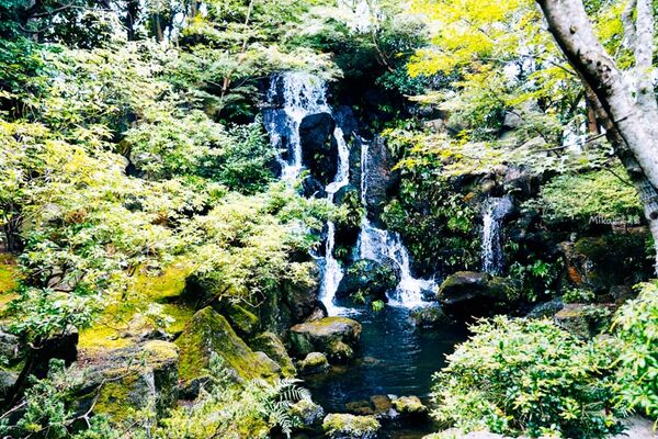▲▼由志園。（圖／部落客Mika授權提供）
