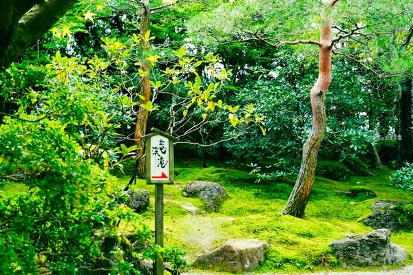 ▲▼由志園。（圖／部落客Mika授權提供）