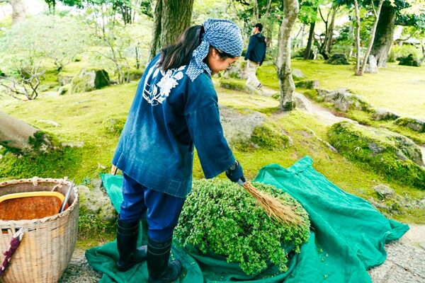 ▲▼由志園。（圖／部落客Mika授權提供）