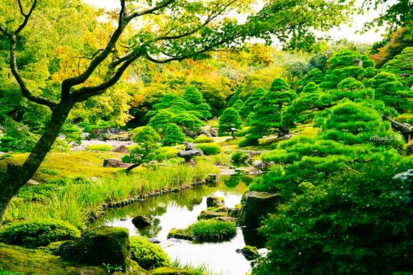 ▲▼由志園。（圖／部落客Mika授權提供）