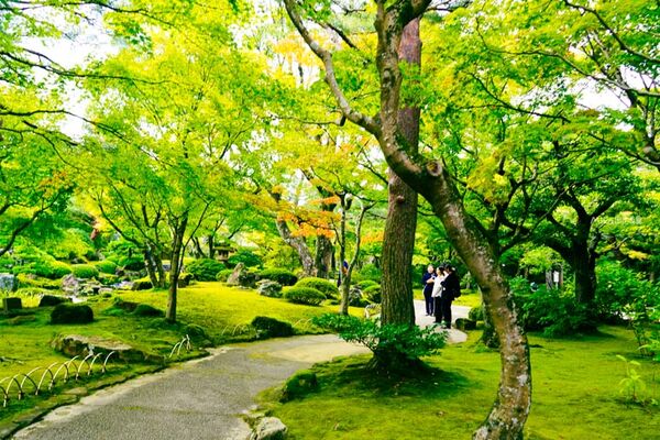 ▲▼由志園。（圖／部落客Mika授權提供）
