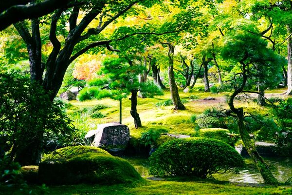 ▲▼由志園。（圖／部落客Mika授權提供）