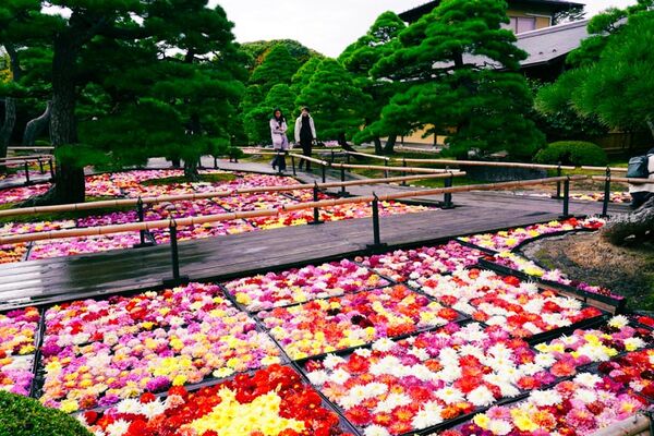 ▲▼由志園。（圖／部落客Mika授權提供）