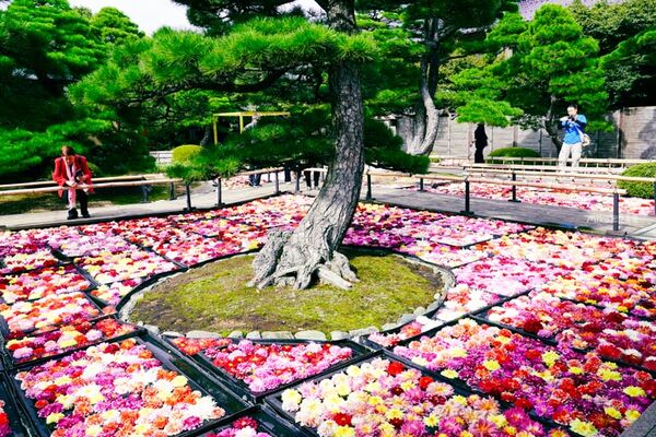 ▲▼由志園。（圖／部落客Mika授權提供）