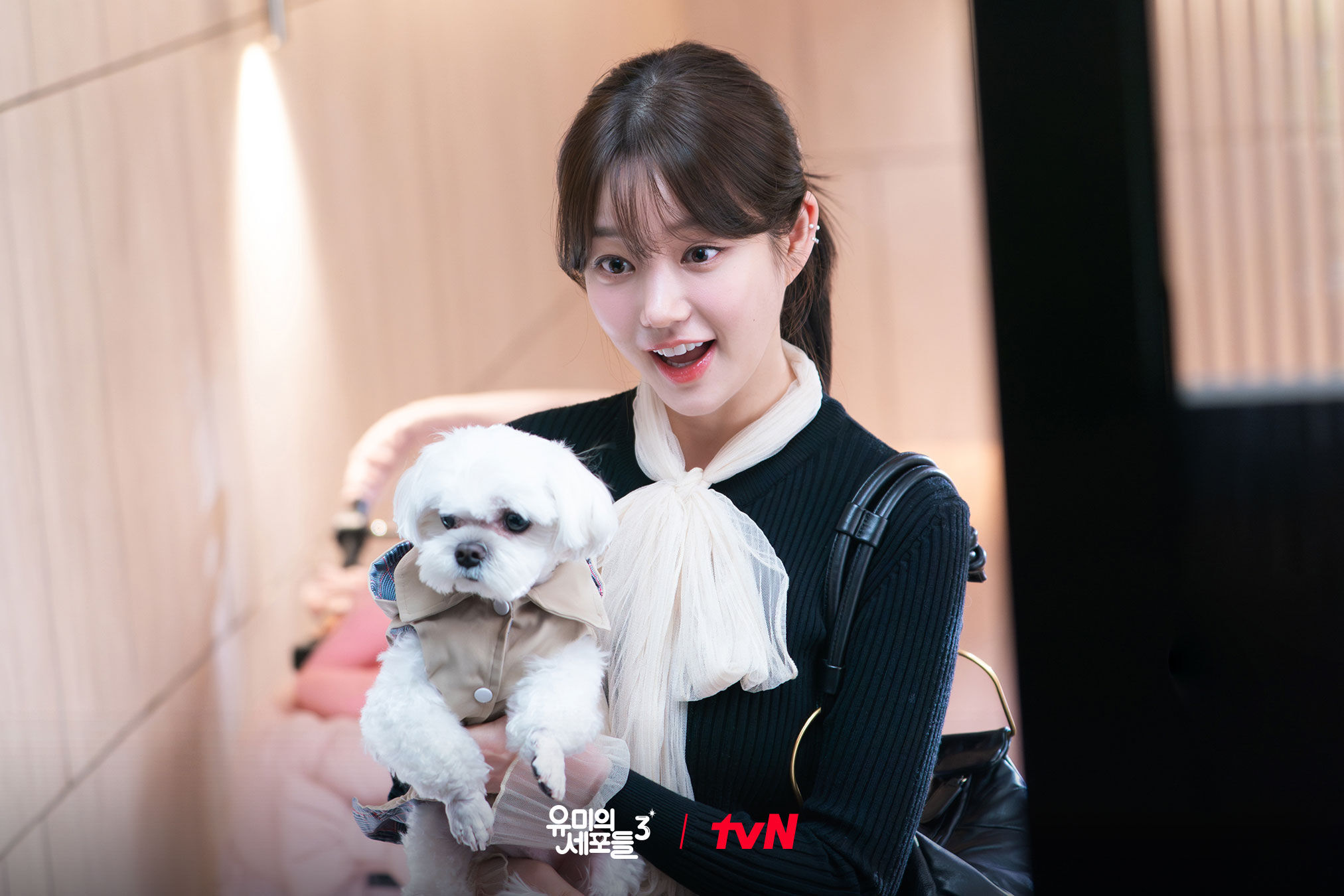 ▲▼精緻窮。（圖／翻攝自FB/tvN Drama）