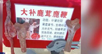 諧音騙局！　翁拒買「天價鹿茸」被踹