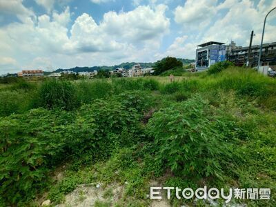 少子化致學校預定地閒置荒蕪30年　許淑華：推動解編還地於民