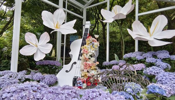 ▲2026竹子湖繡球花季。（圖／台北市農會提供）