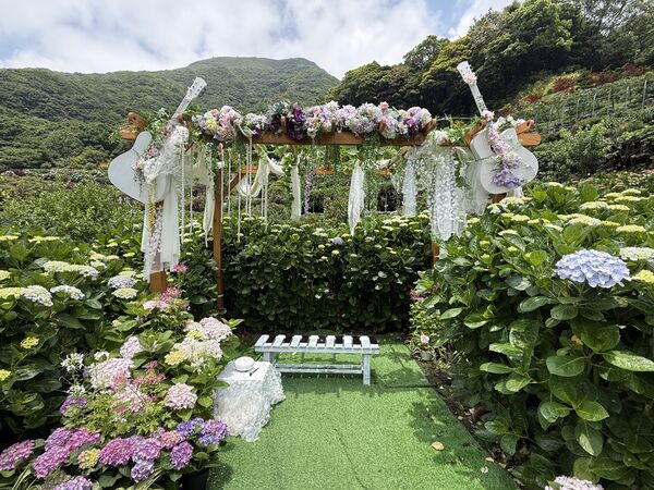 ▲2026竹子湖繡球花季。（圖／台北市農會提供）