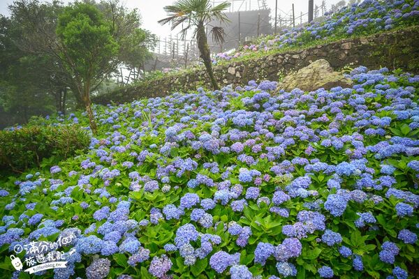 ▲▼北宜石牌縣界公園。（圖／滿分的旅遊札記授權提供）