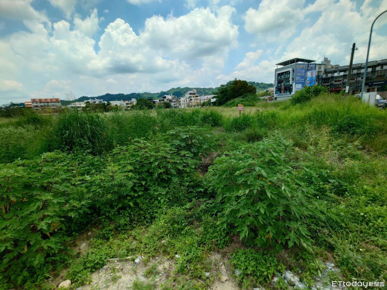少子化致學校預定地閒置荒蕪30年 許淑華:推動解編還地於民