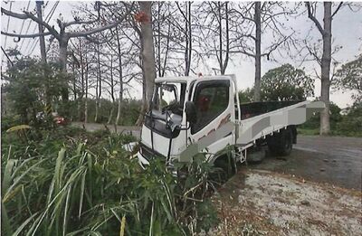 全台最美木棉花道「吹五月雪」 居民怨:路面濕滑自撞意外多