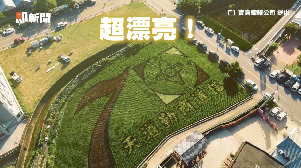 寶島鐘錶70週年把品牌精神「種進土地」!打造苑裡「彩繪稻田」維修手錶再送限定平安米