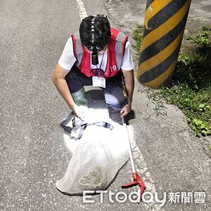 花蓮捕蜂捉蛇委外執行！民眾仍可撥打119　案件處理不漏接